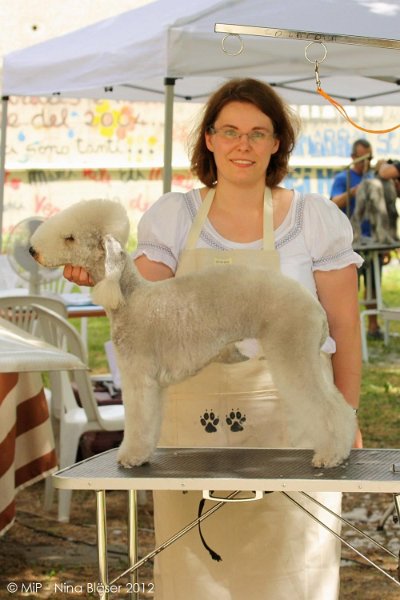 2012-07-01 B & B - Bedlington & Bichon Fun Day (1)_1000x1500.jpg